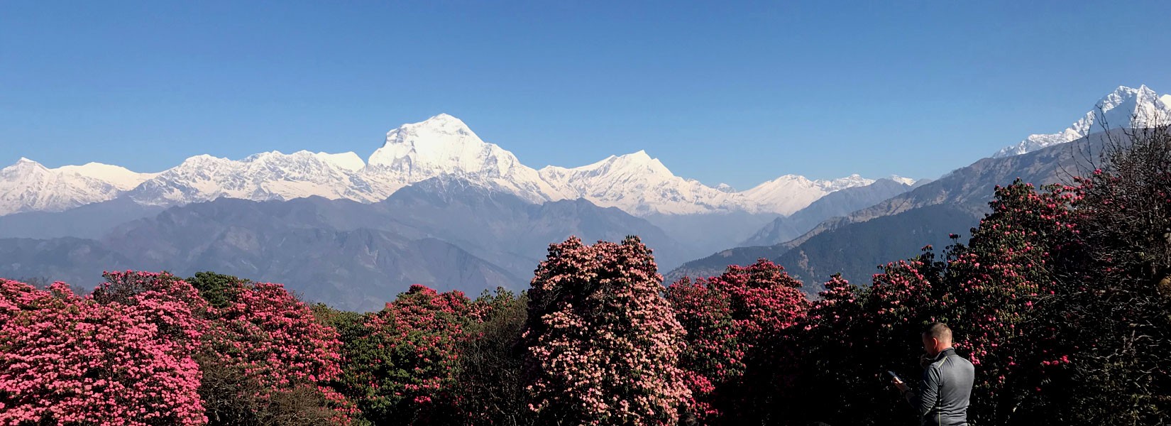 Ghorepani Poon Hill Trekking