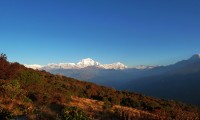 Annapurna Region